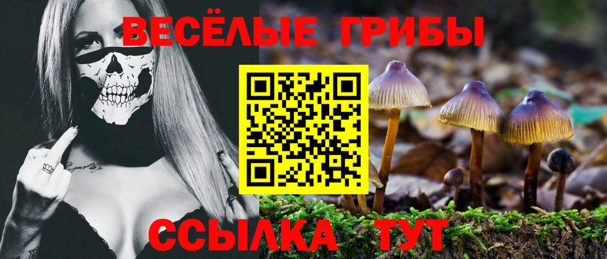 Псилоцибиновые грибы прущие грибы Соль-Илецк